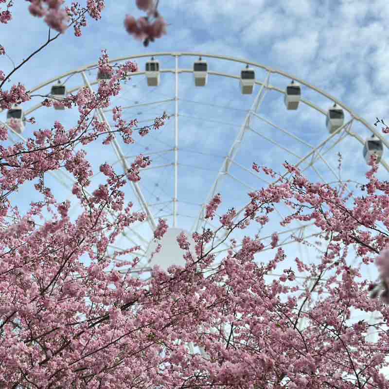 Ieva Glavāne post 1