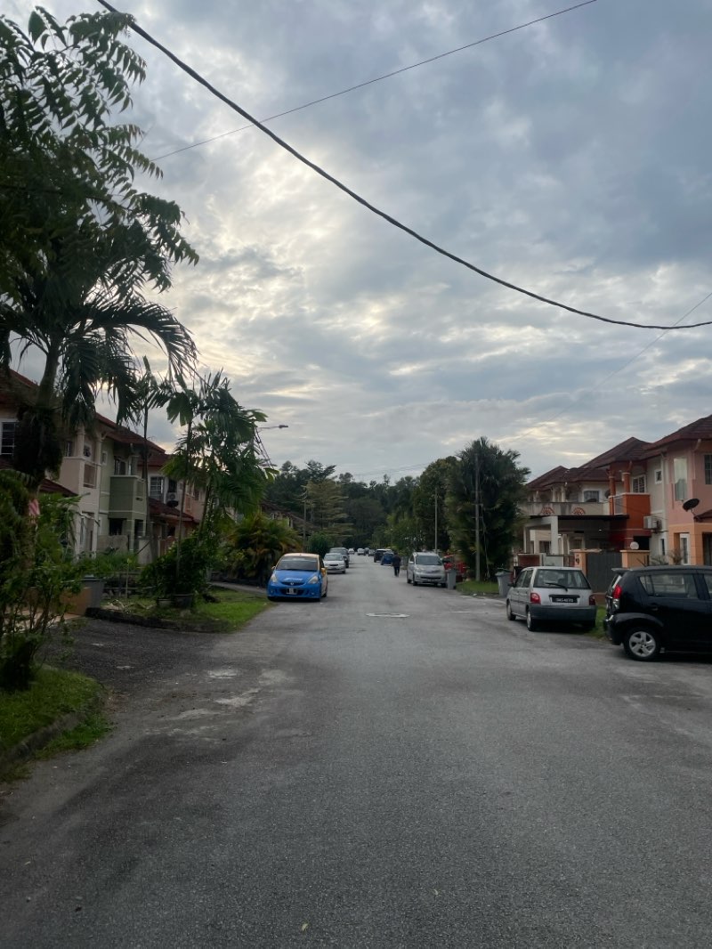 walking near me in Park of Sri Carcosa in winter