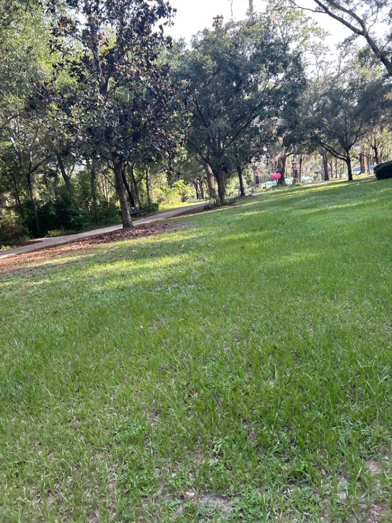 walking near me in Jervey Gantt Park in summer