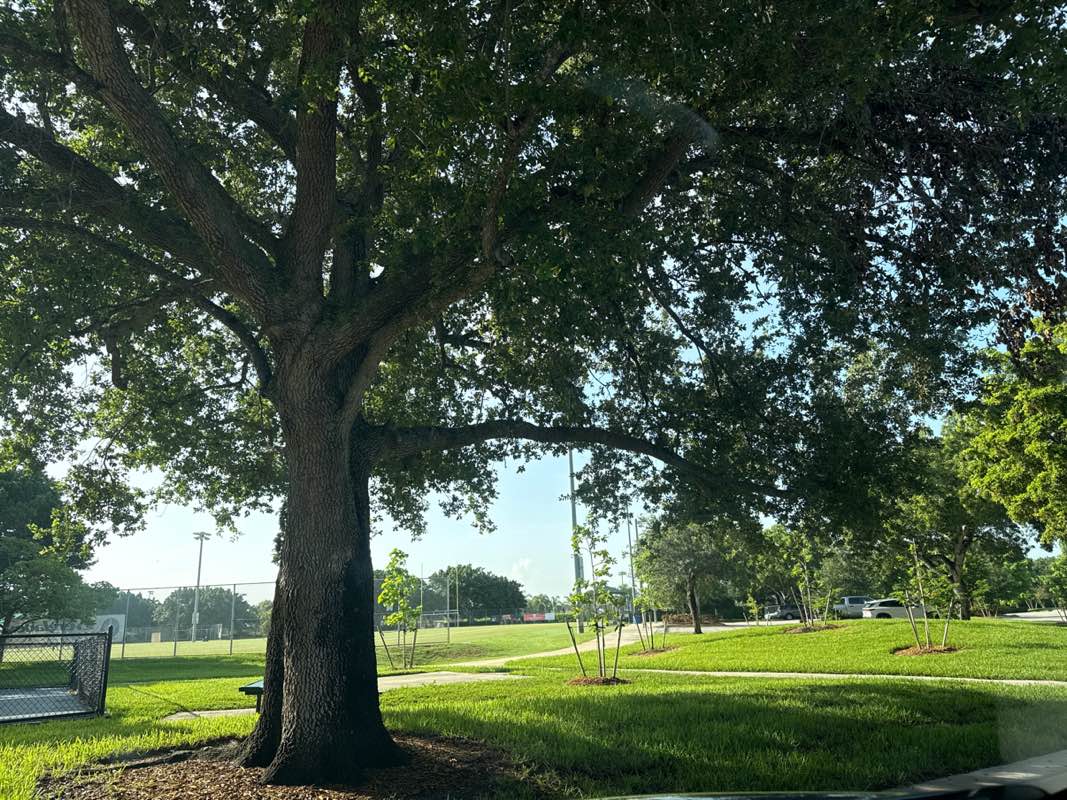 walking near me in Tequesta Trace Park in summer