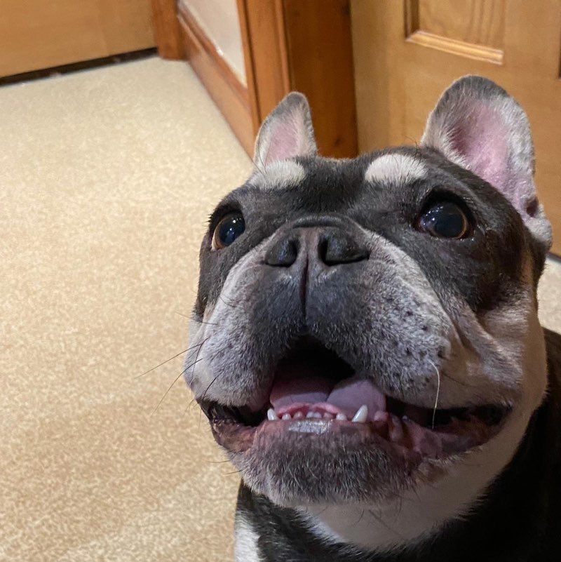 Roxy profile