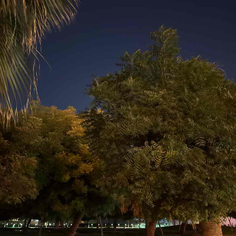 Ian Valencerina post 1