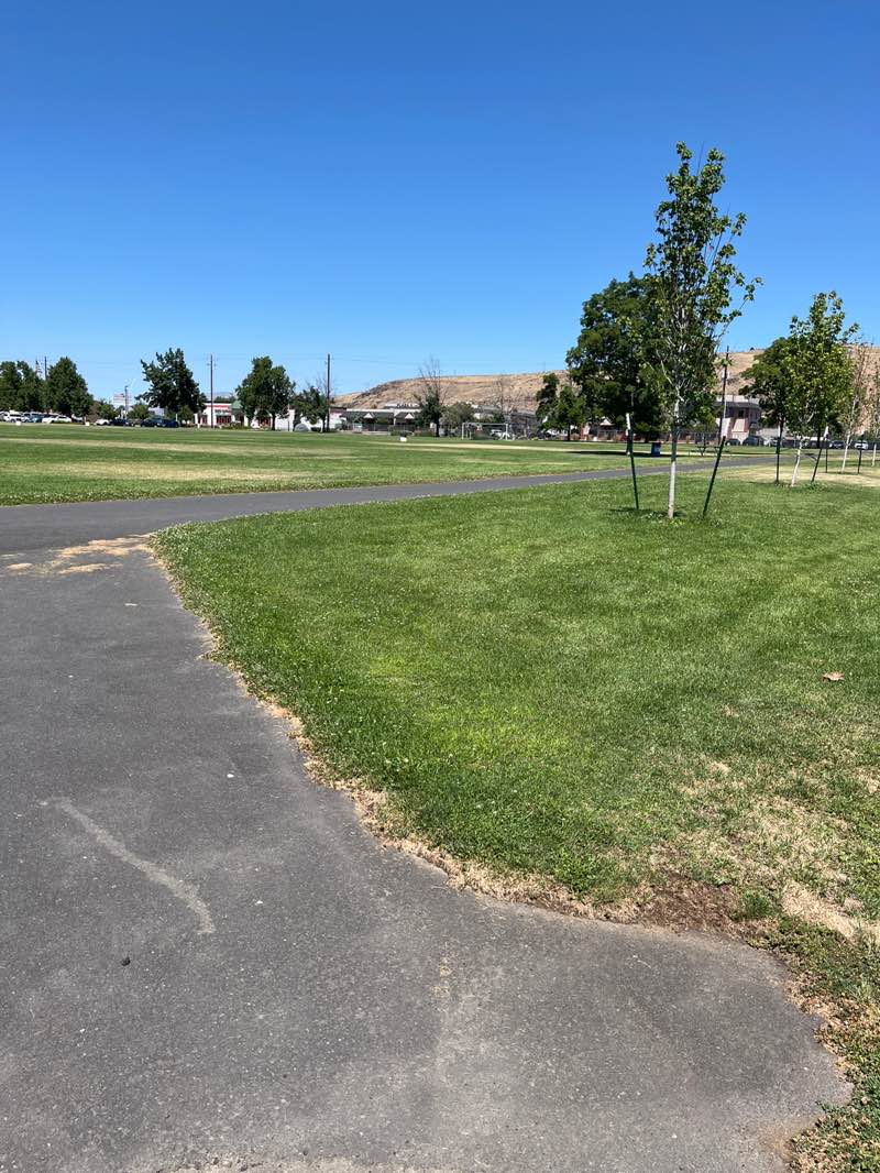 walking near me in Chesterley Park in summer