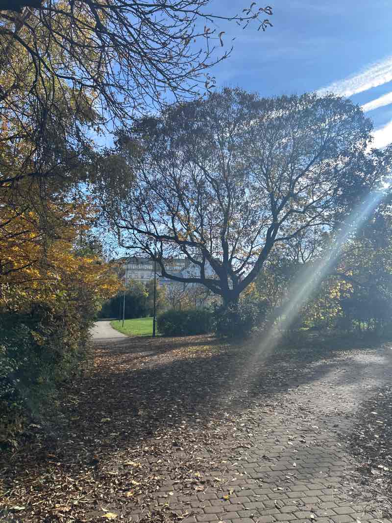 walking near me in park Koliště in autumn