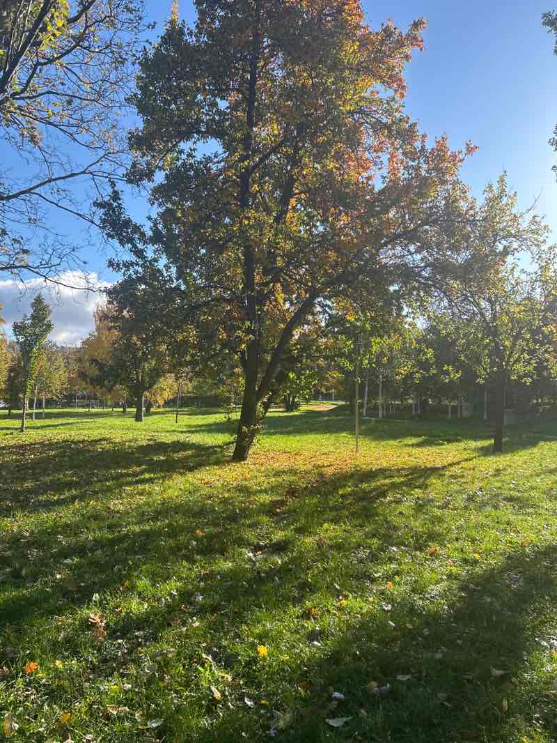 walking near me in Park Bubeníčkova in autumn