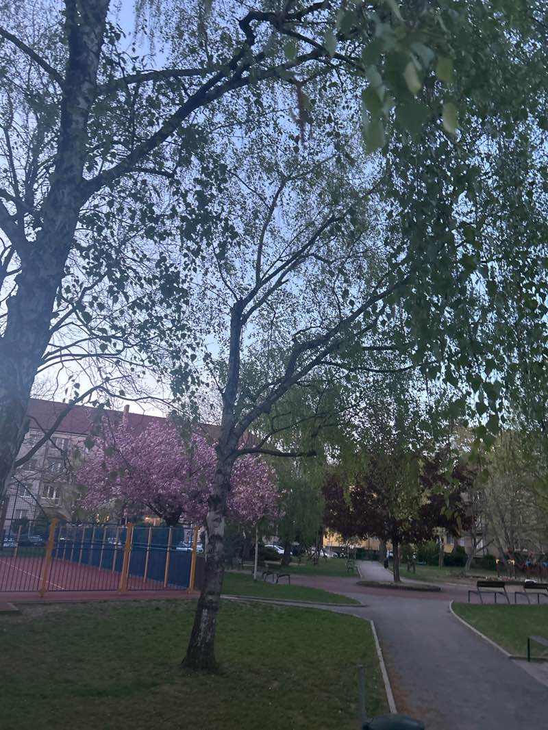 walking near me in Cihelna in spring