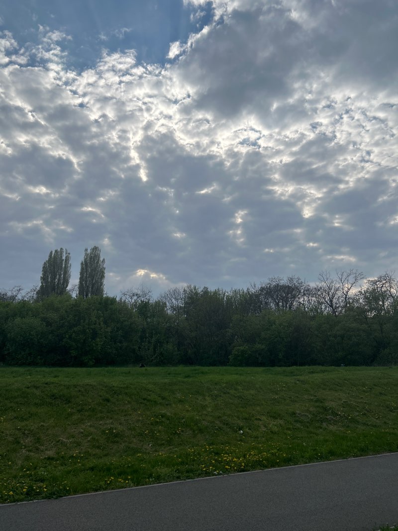 walking near me in Park Škrobárenská in spring