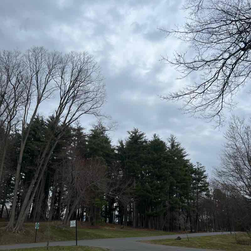 Harri 🇩🇴 post 1