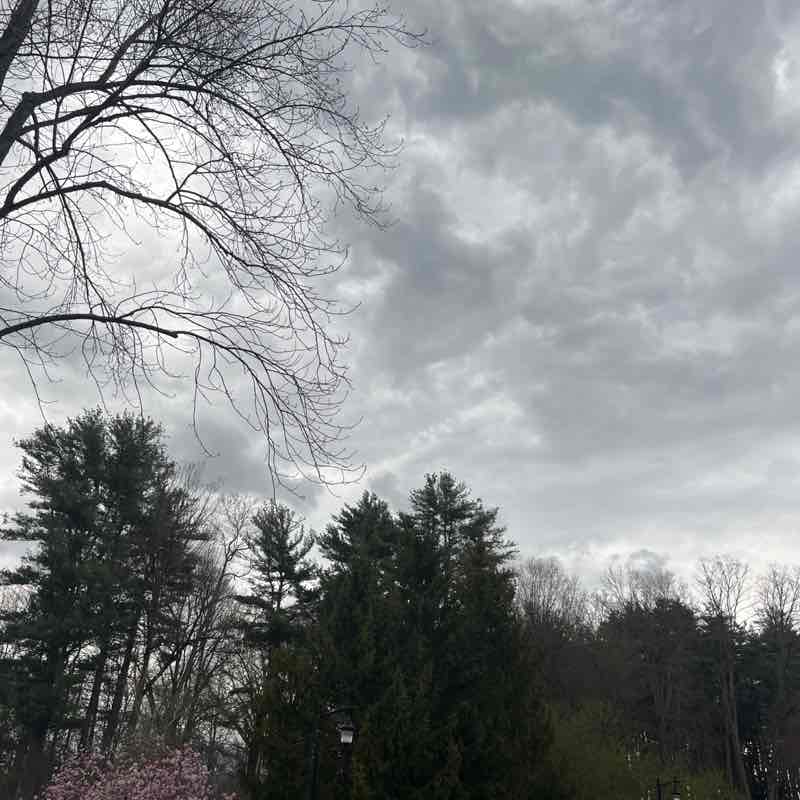 Harri 🇩🇴 post 1