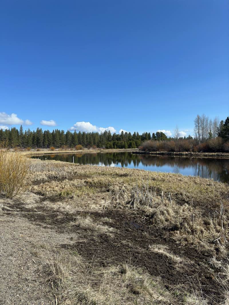 walking near me in Newberry National Volcanic Monument in spring