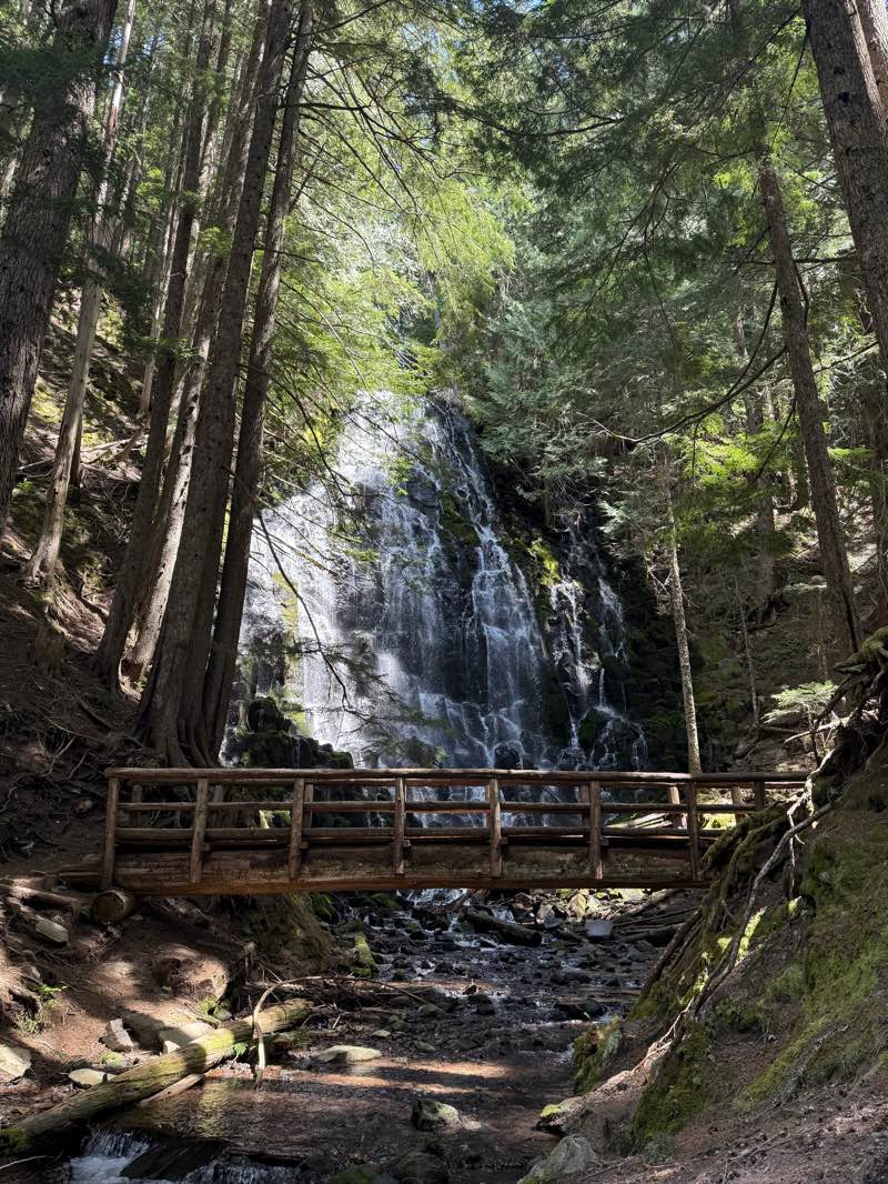 walking near me in Mount Hood Wilderness in spring