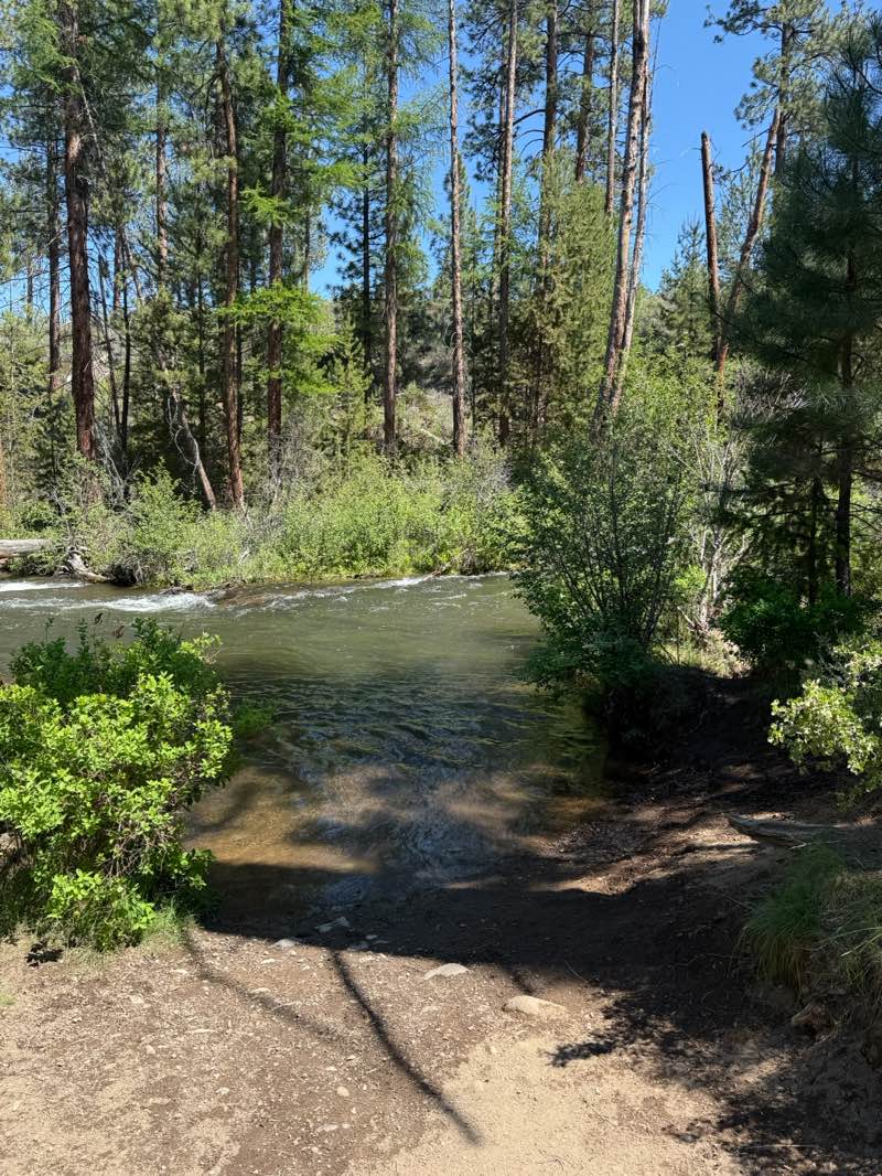 walking near me in Shevlin Park in summer