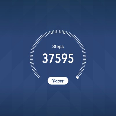 WE THE NORTH Dre post image