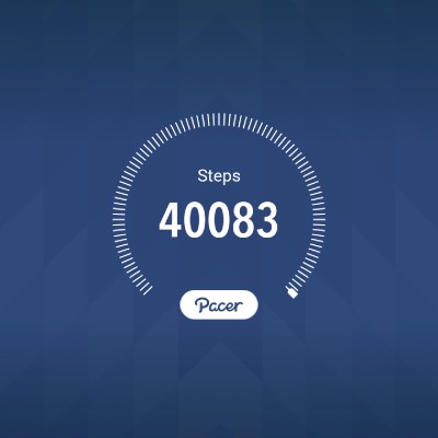 WE THE NORTH Dre post image