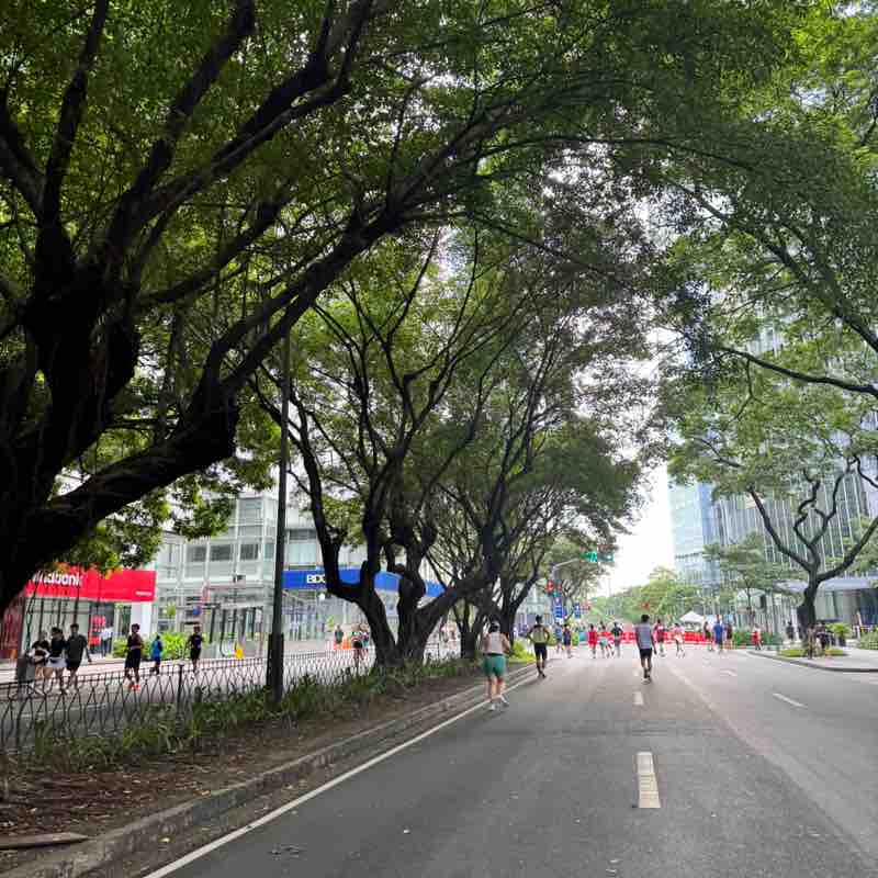 PAF 89 Beauties Jojo D post image