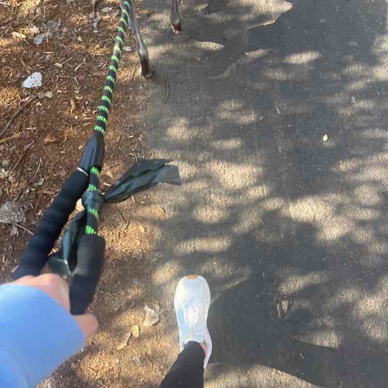 Hawaii 2025 amaya post image