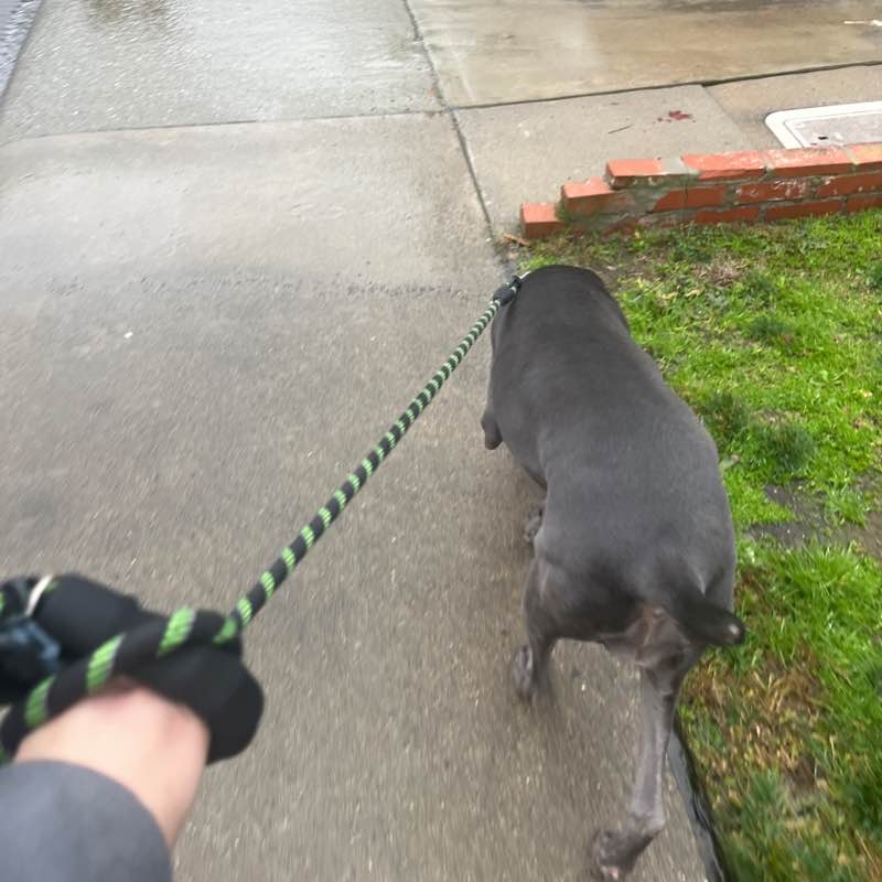 Hawaii 2025 amaya post image