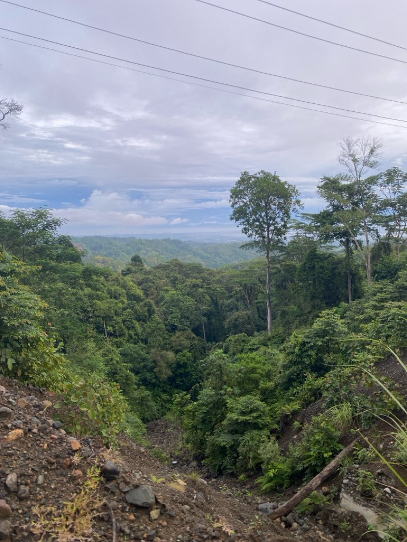 walking near me in Delta Discovery Park in winter