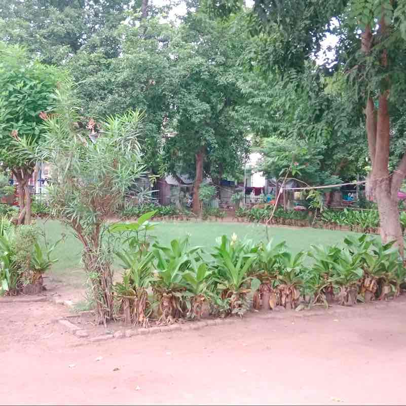 Kuldeep Tomar post 1