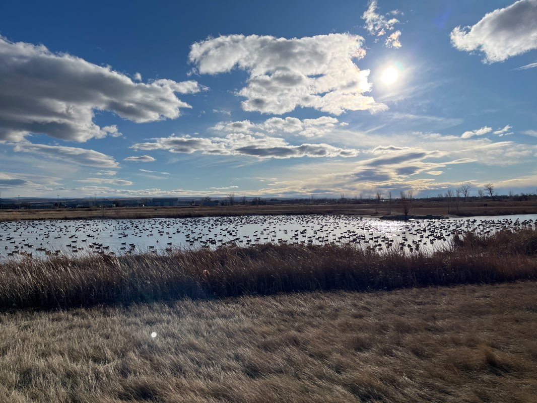 walking near me in Shiloh Conservation Area in winter