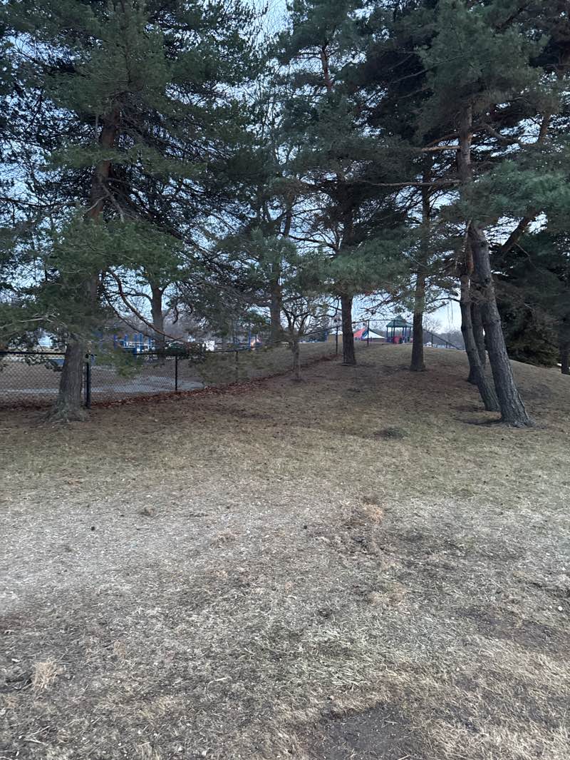 walking near me in Woodland in spring