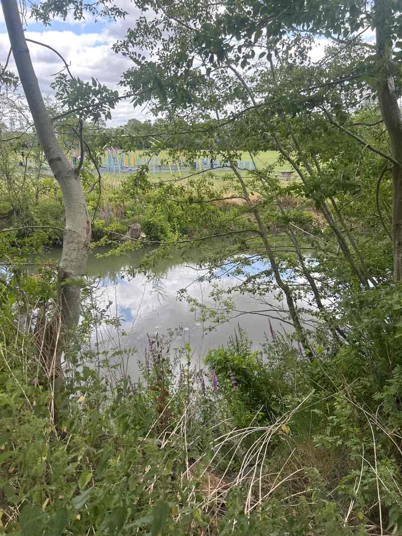 walking near me in King George's Field in summer