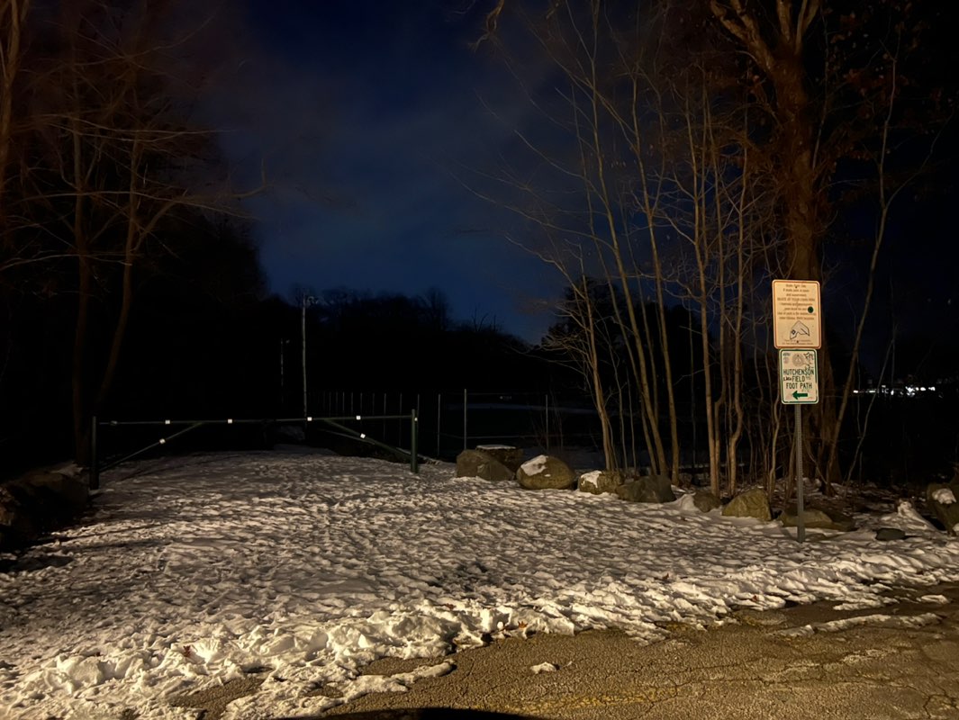 walking near me in Mansfield Memorial Park in winter