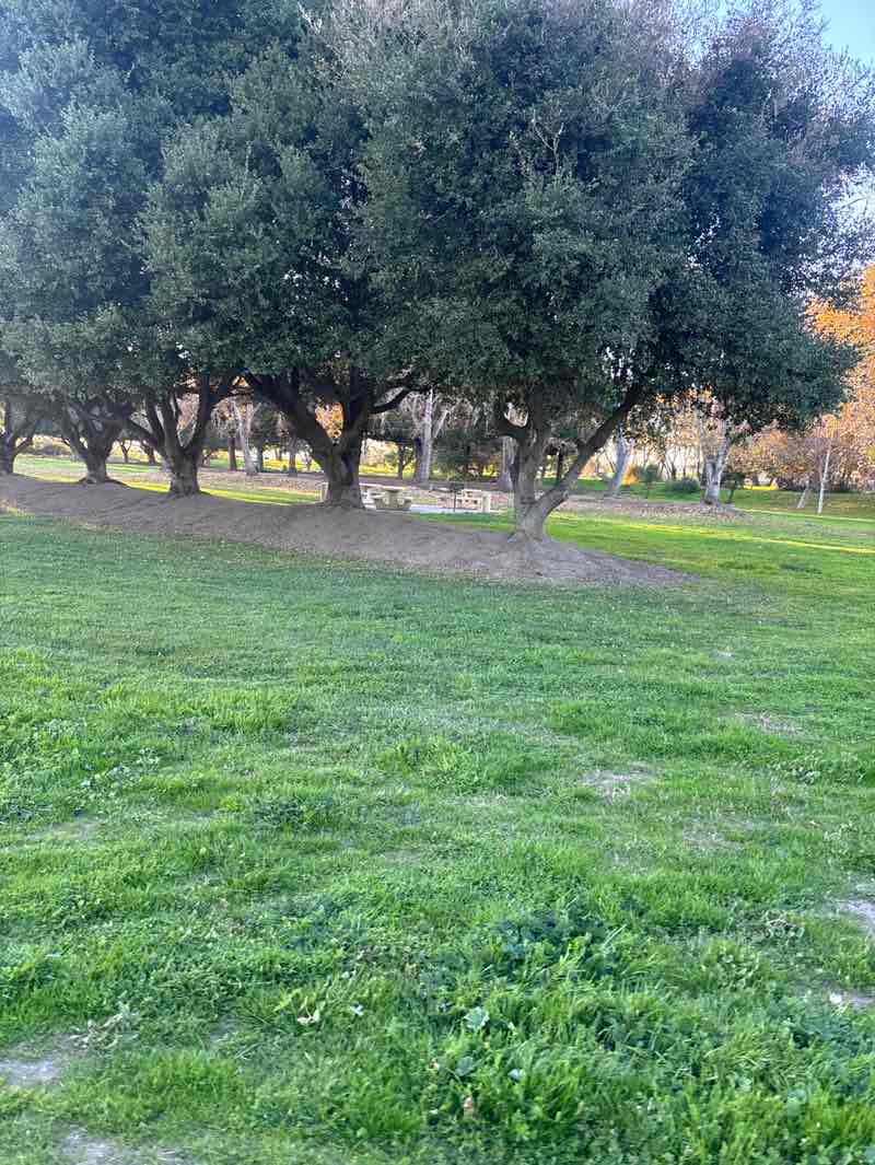 walking near me in All Veterans Memorial Park in winter