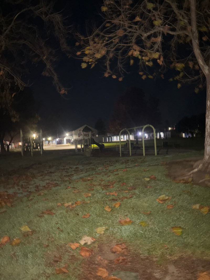 walking near me in Steinbeck Park in winter