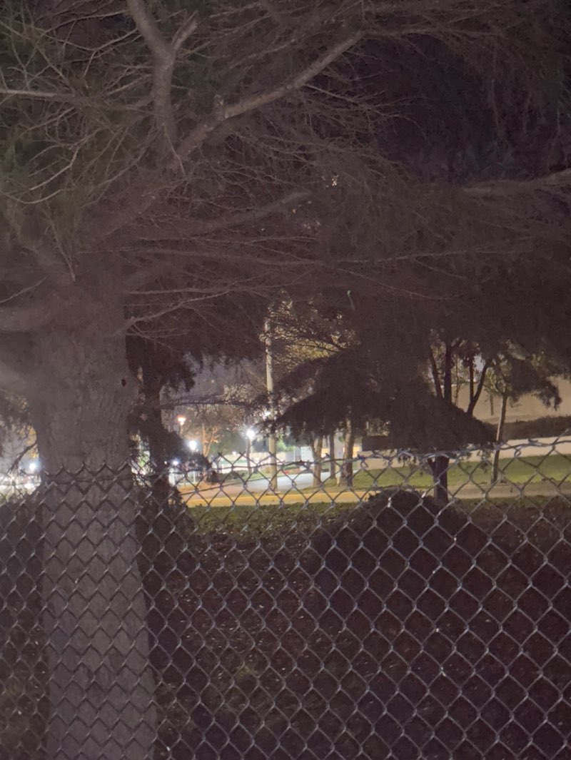 walking near me in Constitution Soccer Fields in winter