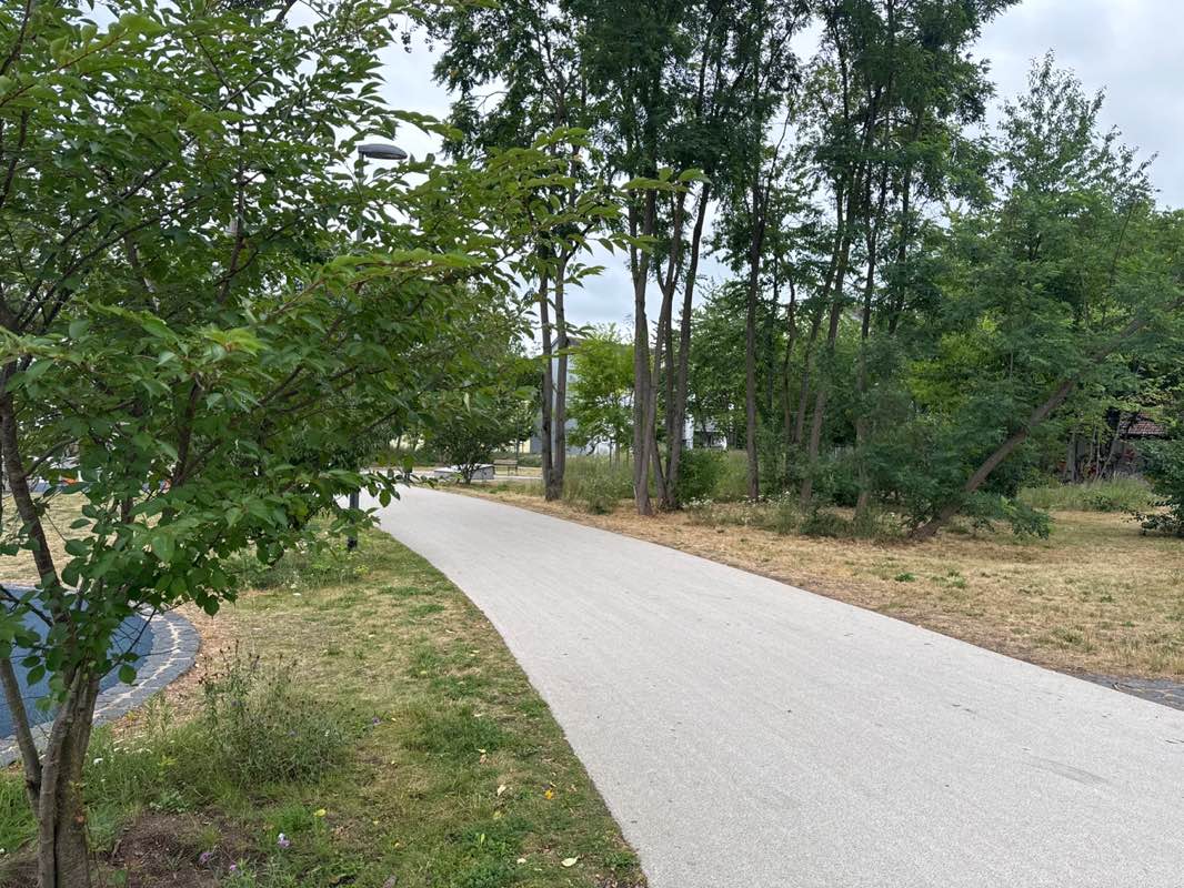 walking near me in Grünzug Feldscheidenstraße in summer