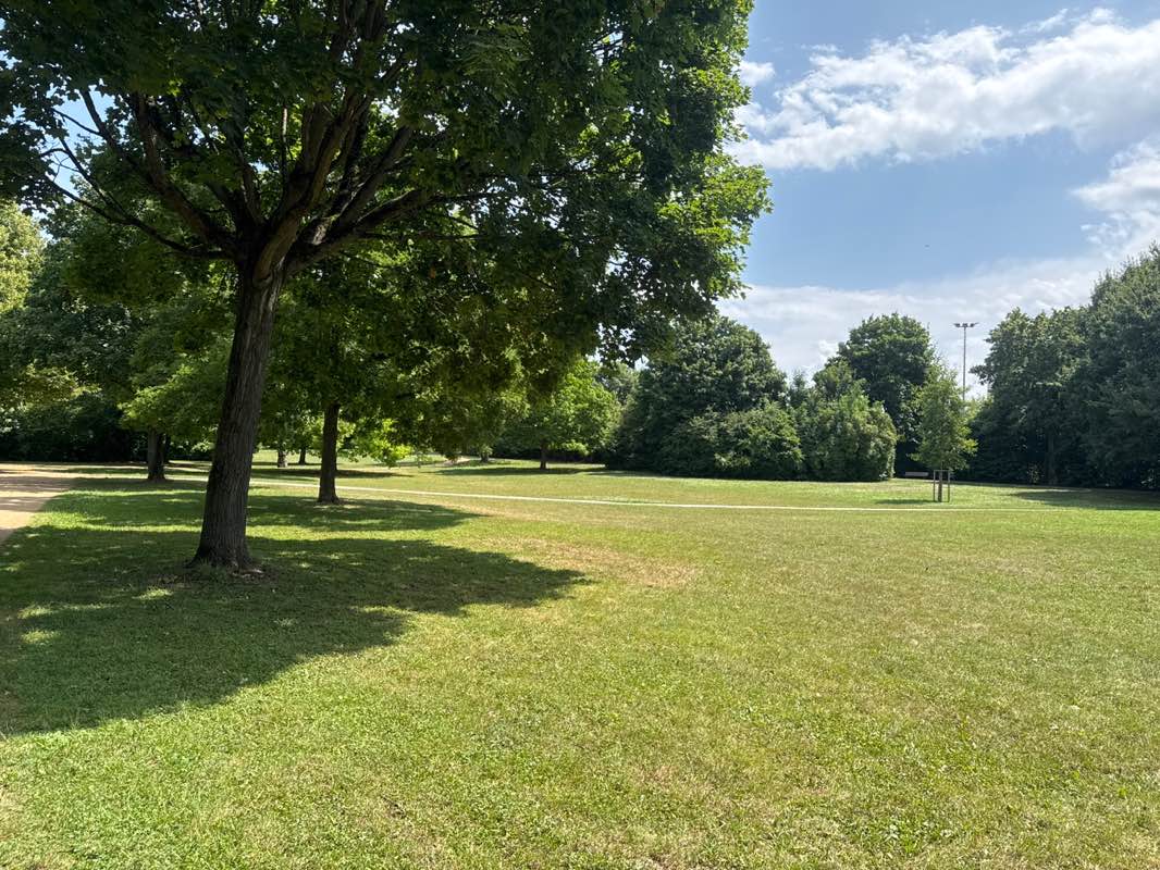 walking near me in Sinaipark in summer