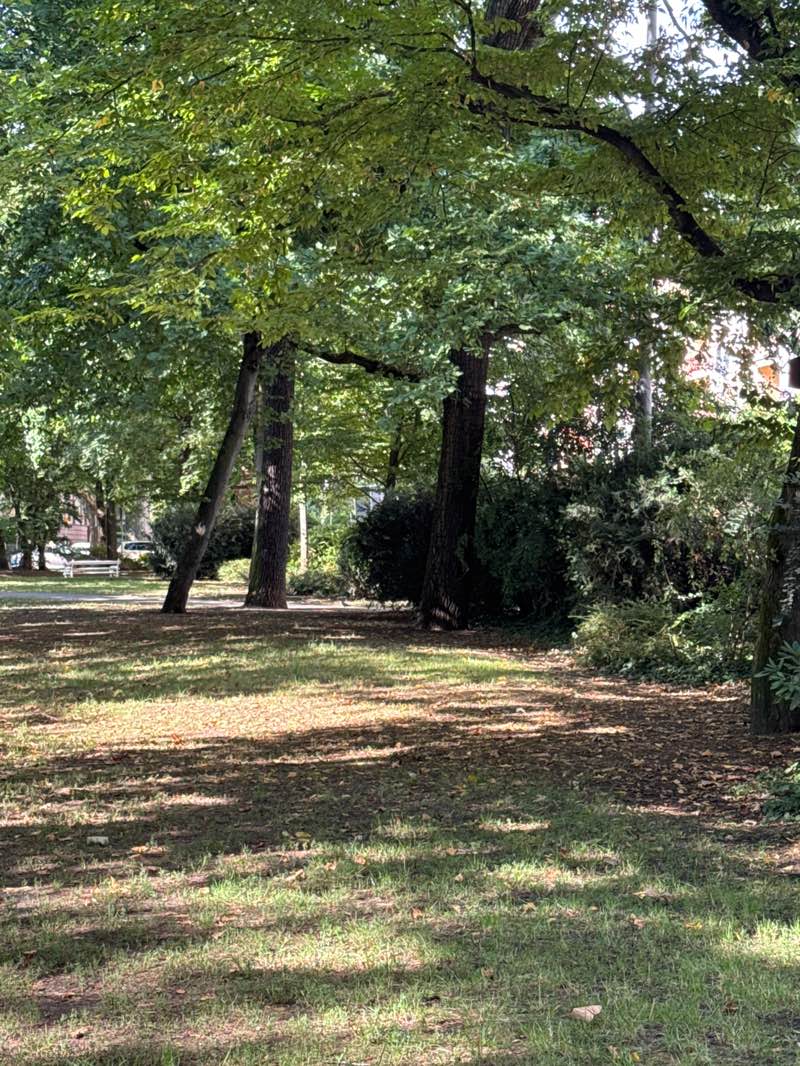 walking near me in Paul-Hindemith-Anlage in autumn