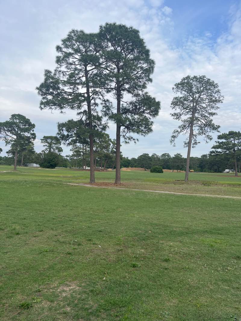 walking near me in Rockfish Road Park in spring