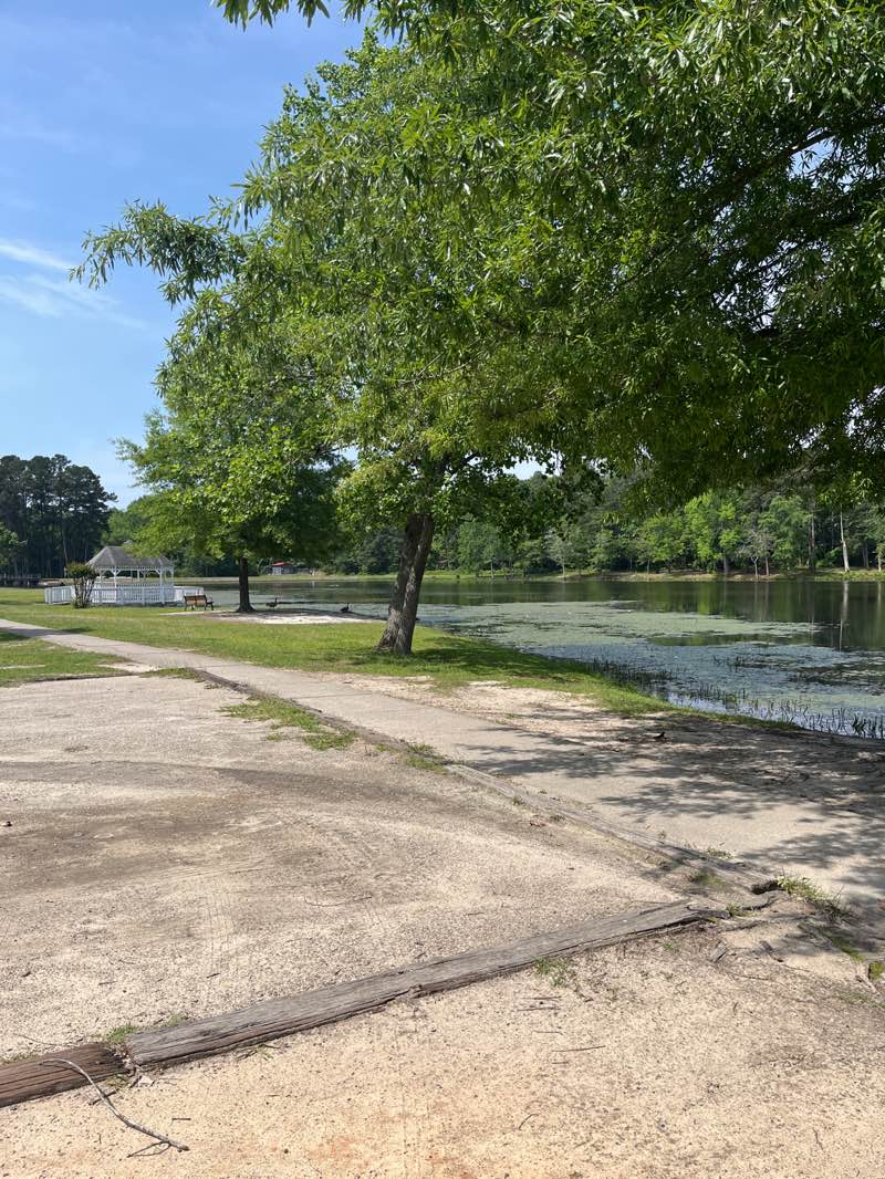 walking near me in Aberdeen Lake Park in spring