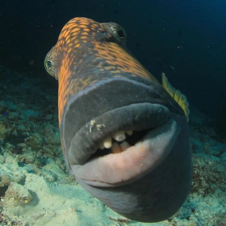 мы Денис post image