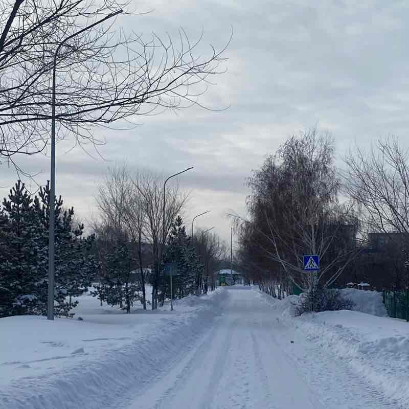 ✨ Svetlana post image