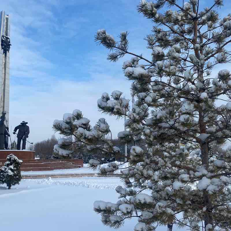 ✨ Svetlana post image