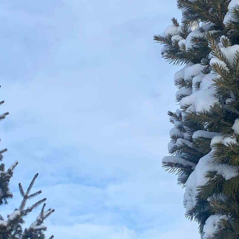 ✨ Svetlana post image