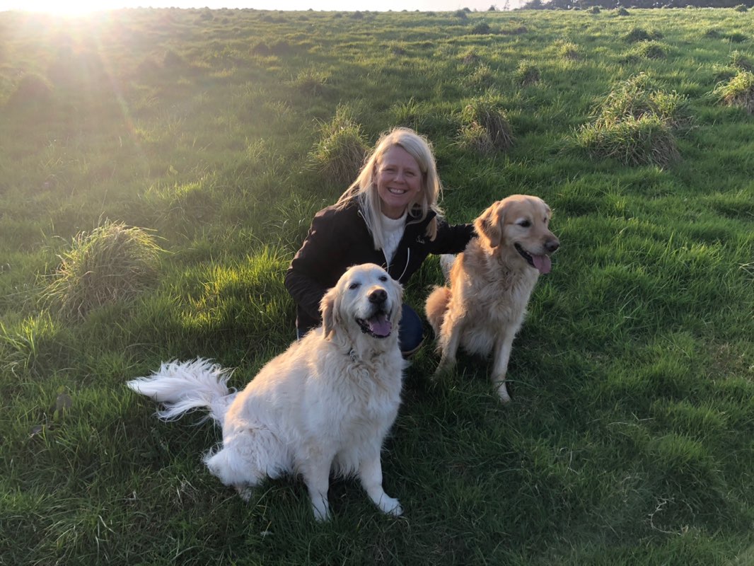 Tracy, Hector & Hartley profile