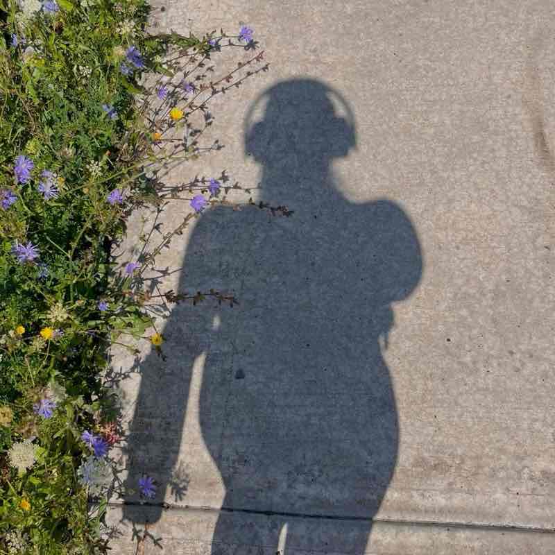 Tummy Flat Booty Fat Ali post image