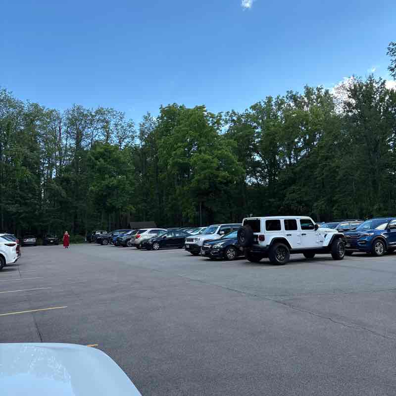 Bills Mafia post 1