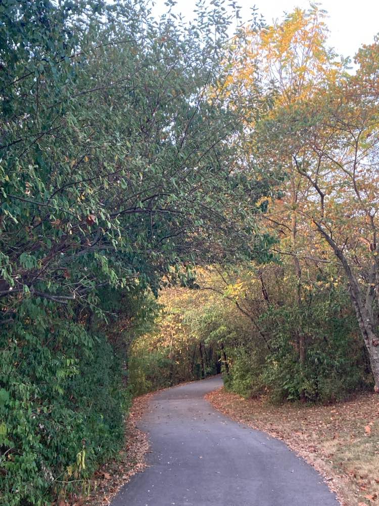 walking near me in Towpath Trail in autumn
