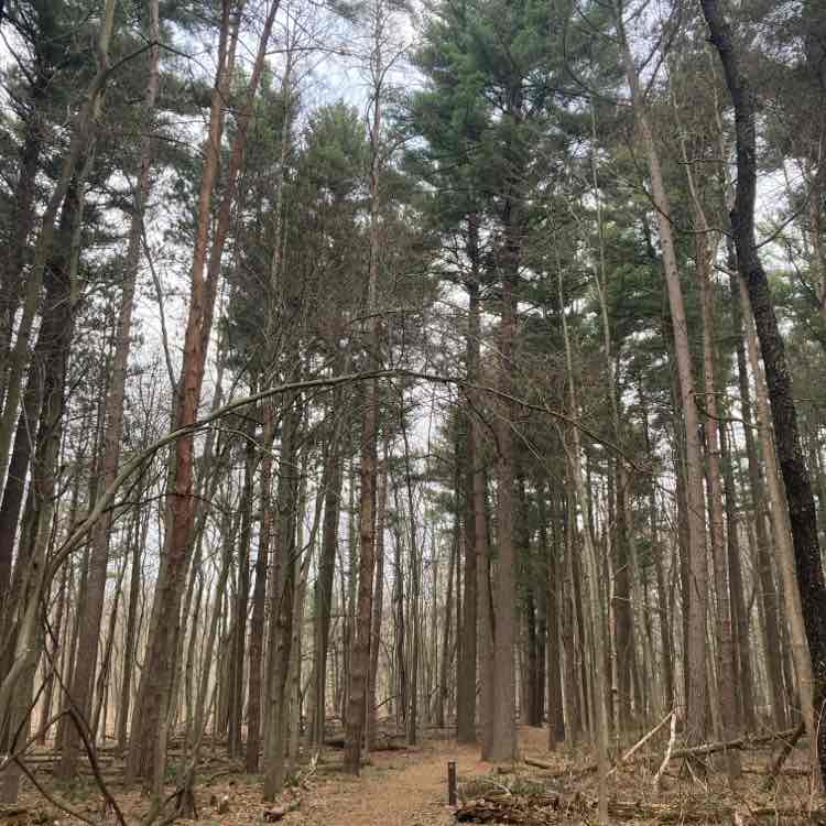 lisapotter_72 post 1