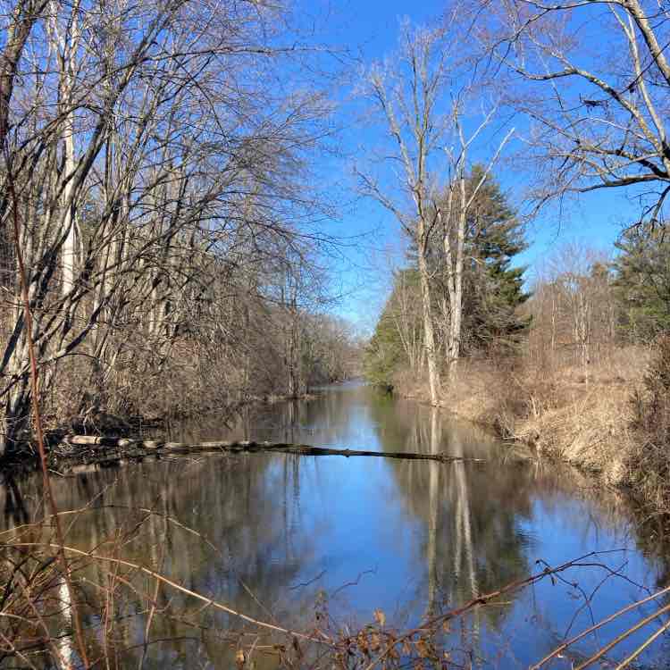 lisapotter_72 post 1