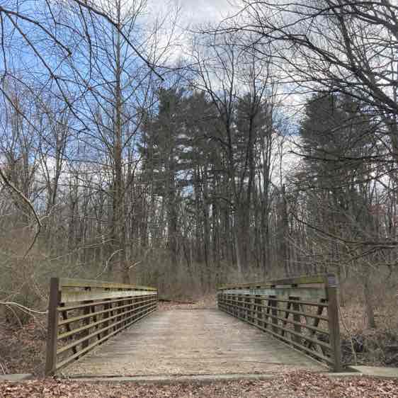 lisapotter_72 post 1