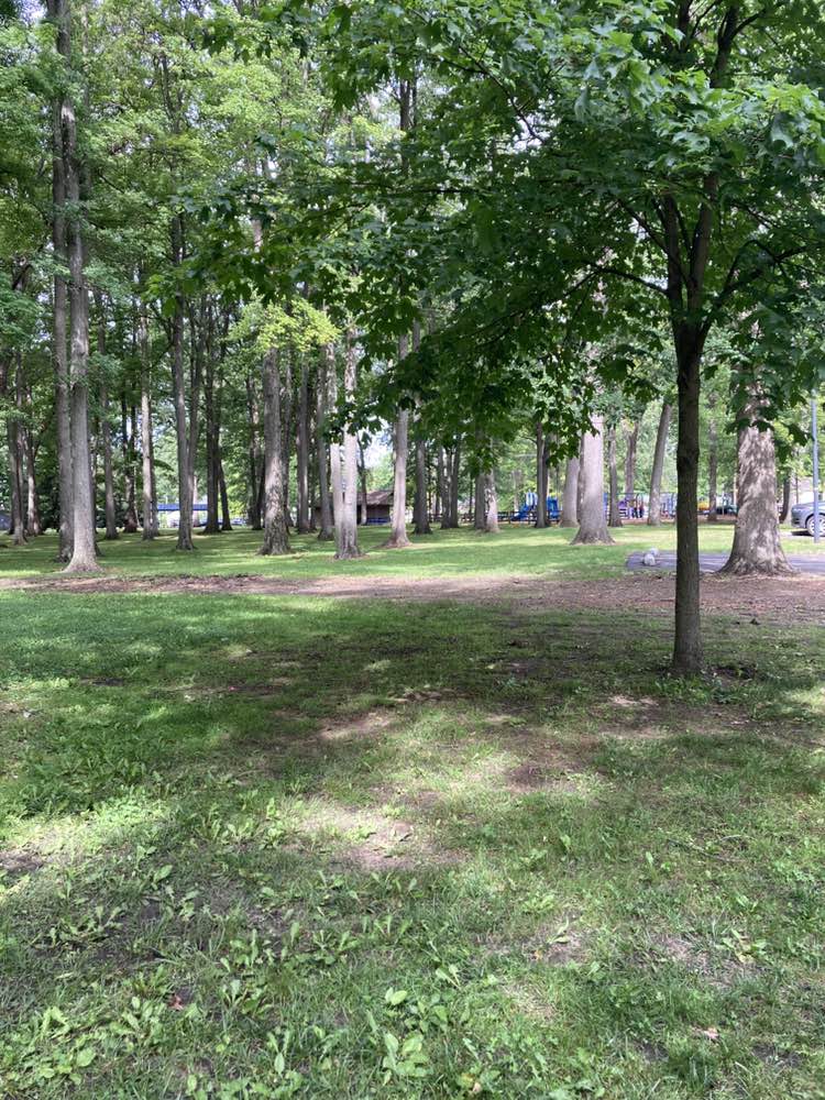 walking near me in Strawberry Acres Park in summer