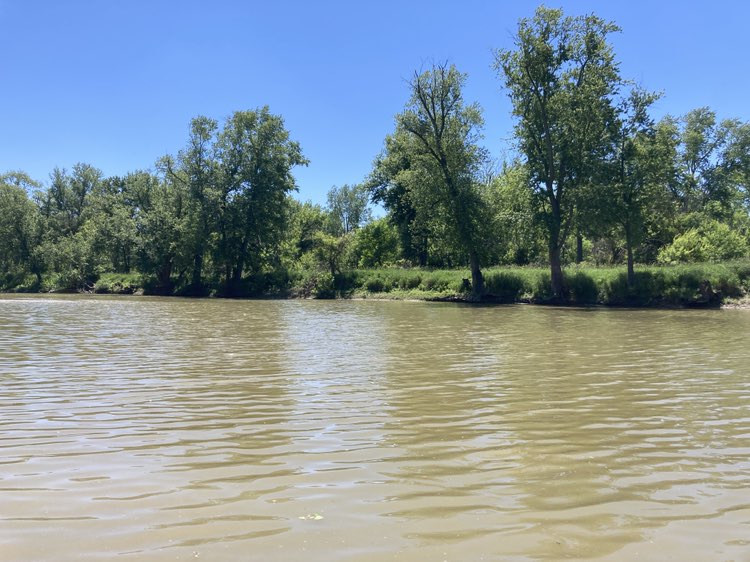 walking near me in Blue Grass Island in summer