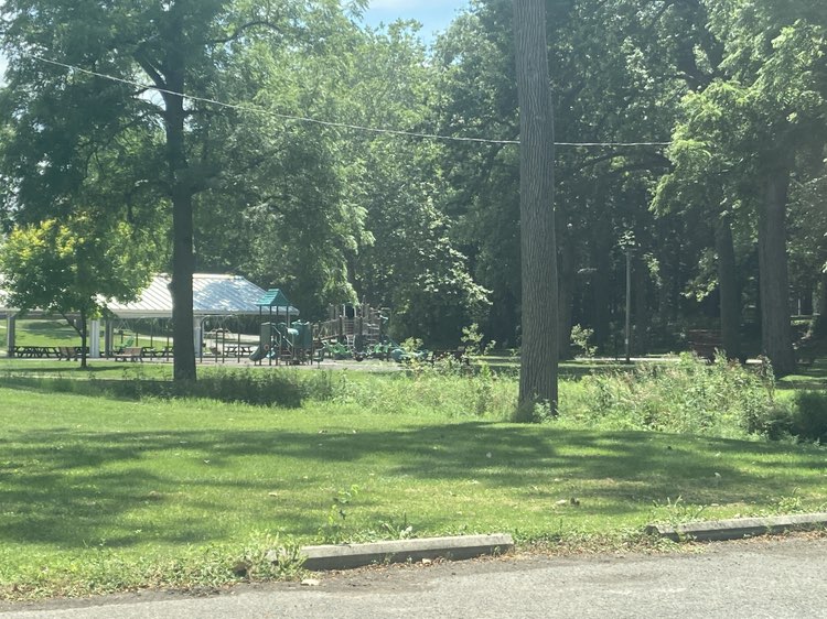 walking near me in Memorial Park in summer