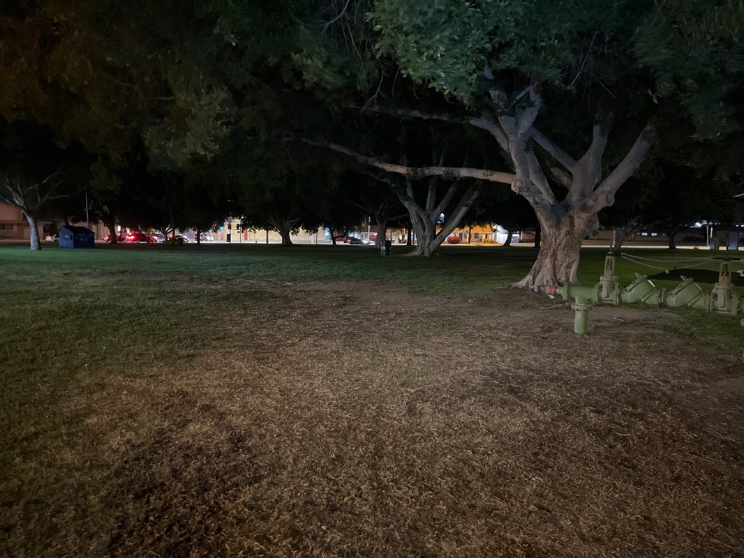 walking near me in Library Grounds in spring